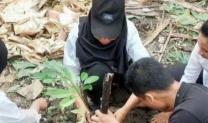 Peringati Hari Degradasi Lahan, Balai TN Manusela Tanam Puluhan Pohon Buah di Masohi