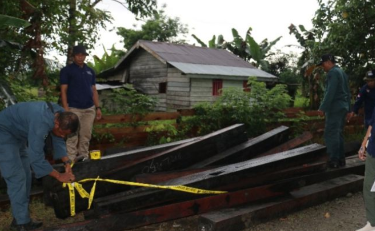 Kemenhut Bongkar Penyelundupan Kayu Ilegal Lewat Tol Laut, Tersangka NS Diproses di Ambon