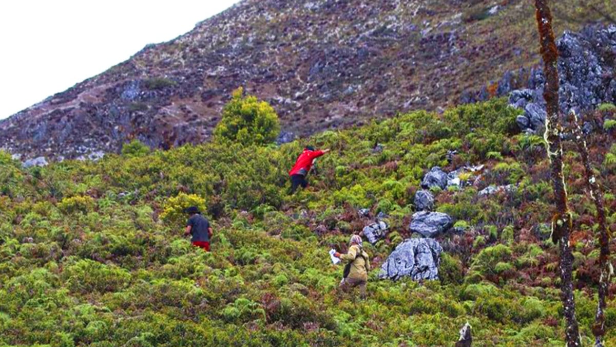 Sudah Seminggu Firdaus Hilang di Gunung Binaiya Belum Ditemukan, Pencarian Dihentikan