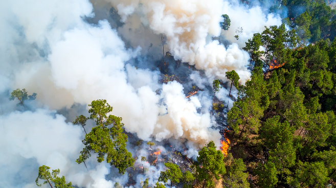 Kebakaran Besar Melanda ﻿California Hanguskan 4.856 Hektare 