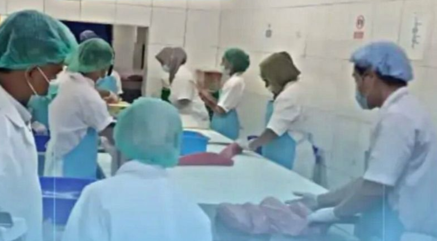 KKP Maluku Lakukan Surveilan Mutu Tuna Beku untuk Jamin Standar Ekspor