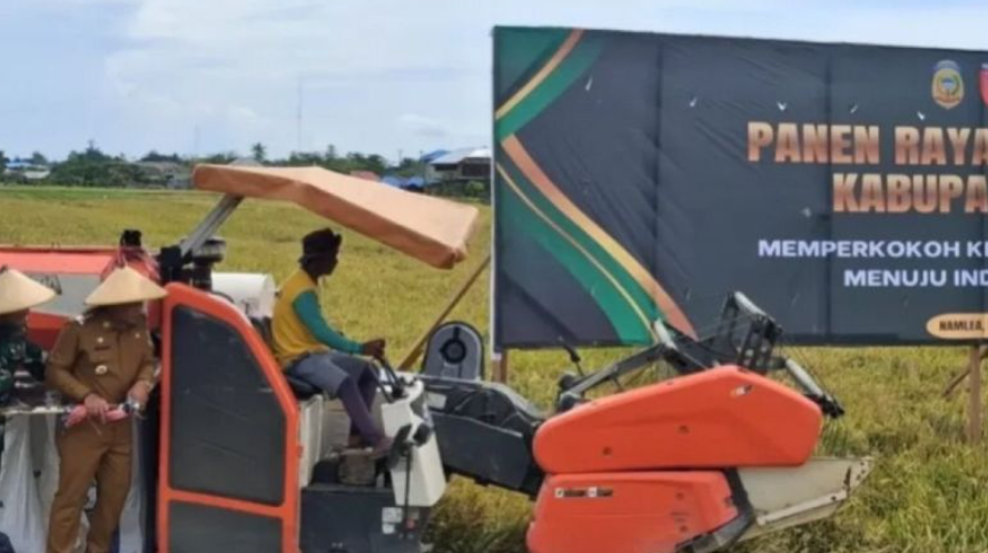 Kabupaten Buru Surplus 14.545 Ton,  Perkuat Status Lumbung Pangan Maluku