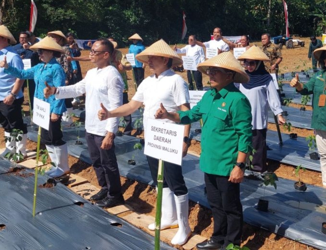 Pemprov Maluku Ajak Sekolah Tanam Cabai, Biar Harga Gak Terus Naik