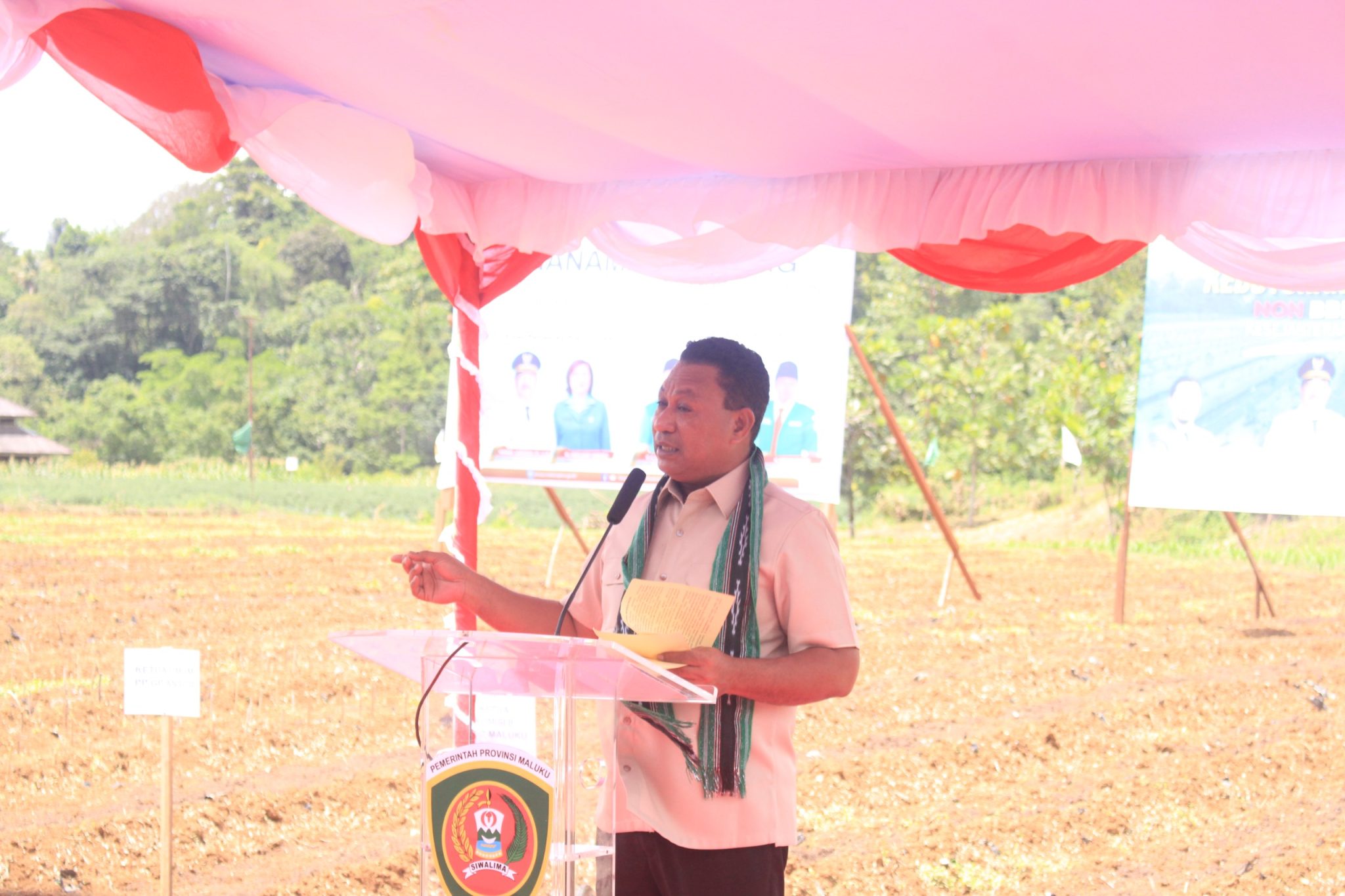 Wagub Maluku Dorong Ketahanan Pangan Lewat Penanaman Hotong dan Ekspansi Kakao