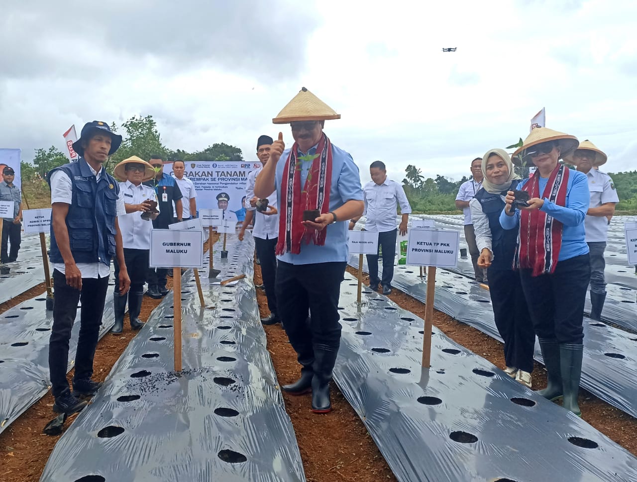 Gub Maluku Pimpin Penanaman Serentak 100 Ribu Bibit Cabai, Langkah Strategis Tekan Inflasi
