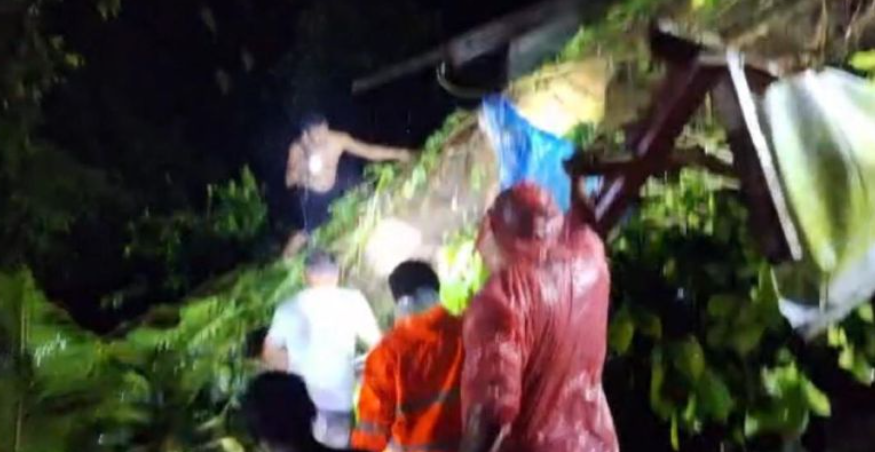 Pohon Tumbang di Ambon Tewaskan Sopir Angkot, Polisi Kerahkan Personel Evakuasi