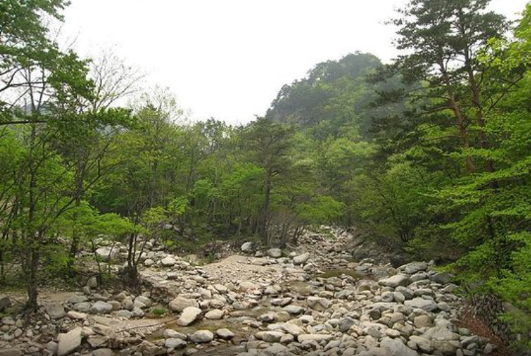 Tambang Ilegal Diduga Jadi Penyebab Kekeringan Sungai Waiheru, DPRD Ambon Minta Ditutup!