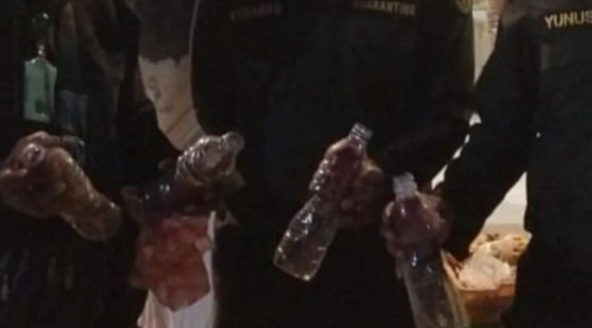 Nuri Maluku Ditemukan Petugas Disembunyikan dalam Botol Plastik di KM Ngapulu