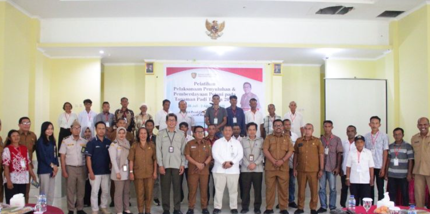 Dorong Swasembada, Pemprov Maluku Latih Petani Padi Modern dari Lima Kabupaten