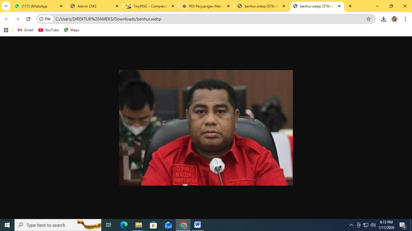 PDI Perjuangan Maluku Tolak Wacana Pilkada Via DPRD