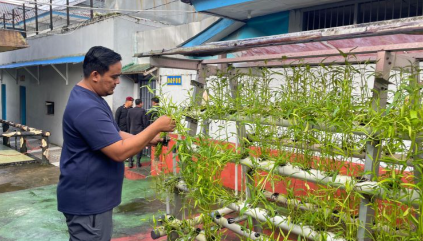 Bukan Sekadar Tahanan: Warga Binaan Rutan Ambon Diajar Hidroponik untuk Bekal Masa Depan
