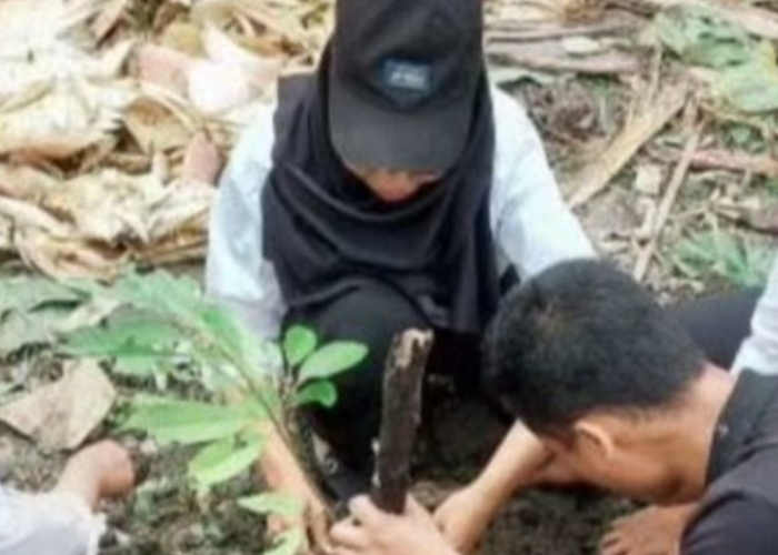 Peringati Hari Degradasi Lahan, Balai TN Manusela Tanam Puluhan Pohon Buah di Masohi