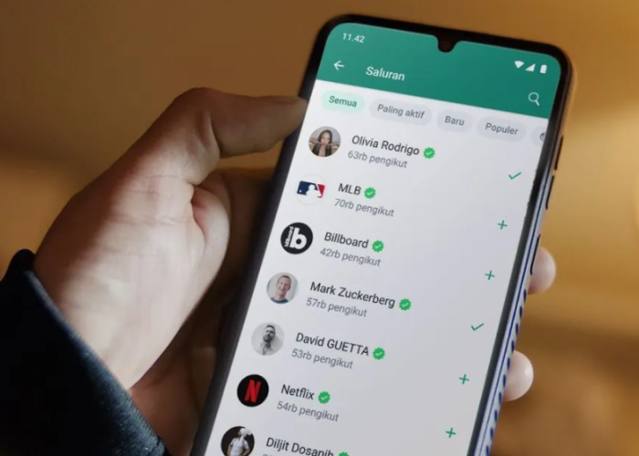 WhatsApp Hadirkan Fitur Baru untuk Cegah Penipuan﻿
