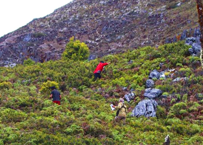Sudah Seminggu Firdaus Hilang di Gunung Binaiya Belum Ditemukan, Pencarian Dihentikan 