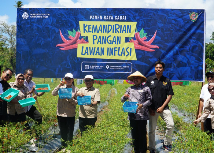 Pemprov Maluku Hadiri Panen Raya Cabai Youth Creative di Telaga Kodok