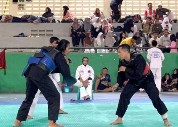 378 Pesilat Ramaikan Kejurda Piala Gubernur Maluku 2025 di Ambon