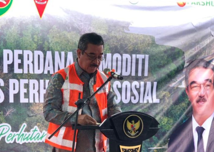 Maluku Siapkan Lahan 35.000 Hektare di Pulau Buru untuk Pusat Hilirisasi Pertanian Nasional