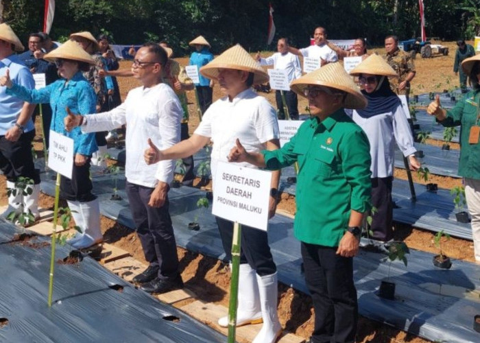 Pemprov Maluku Ajak Sekolah Tanam Cabai, Biar Harga Gak Terus Naik