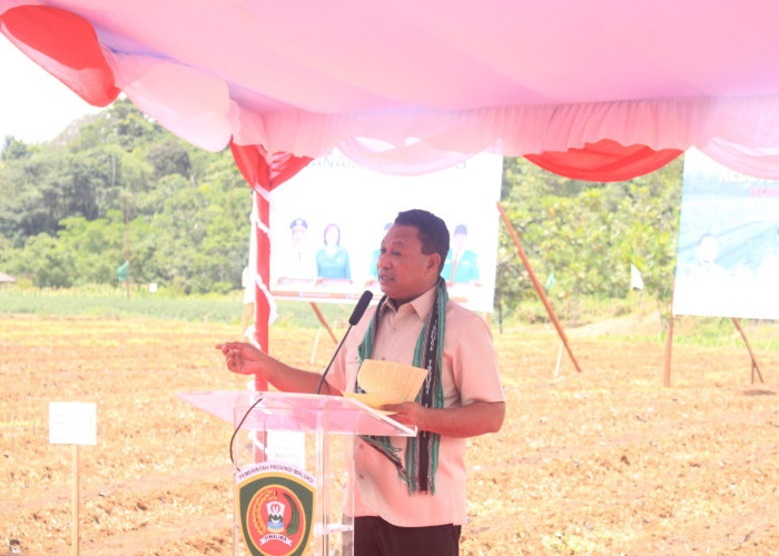 Wagub Maluku Dorong Ketahanan Pangan Lewat Penanaman Hotong dan Ekspansi Kakao
