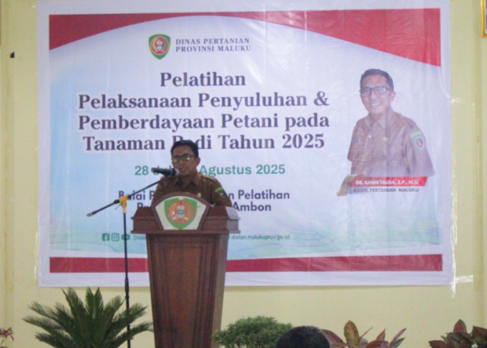 Pelatihan Penyuluhan Petani Padi 2025 Resmi Dibuka, Dinas Pertanian Maluku Targetkan Swasembada Pangan 2025
