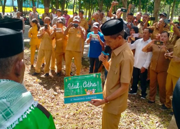 Sambut Idul Adha, Pemkab Kepulauan Aru Serahkan Enam Hewan Kurban 