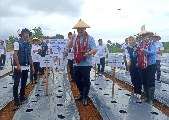 Gub Maluku Pimpin Penanaman Serentak 100 Ribu Bibit Cabai, Langkah Strategis Tekan Inflasi