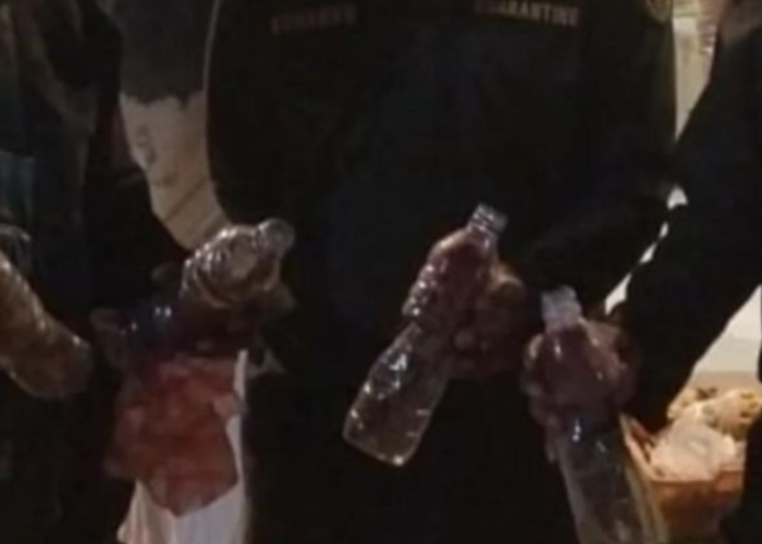 Nuri Maluku Ditemukan Petugas Disembunyikan dalam Botol Plastik di KM Ngapulu