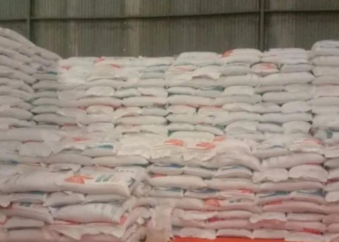 Bulog Pastikan Stok Beras di Maluku Cukup untuk 4 Bulan ke Depan
