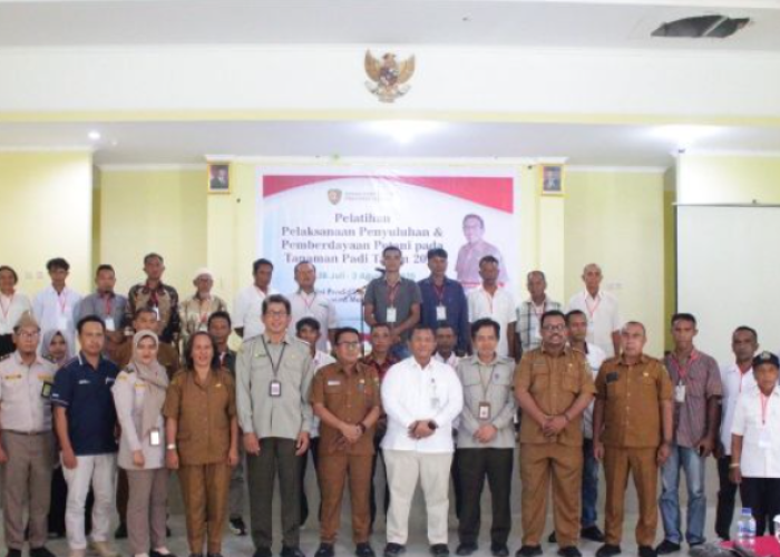 Dorong Swasembada, Pemprov Maluku Latih Petani Padi Modern dari Lima Kabupaten