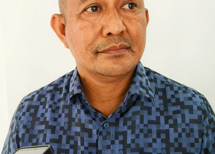 Efisiensi Hambat 17 Program Prioritas, Nikijuluw: Manfaatkan DID dan PAD