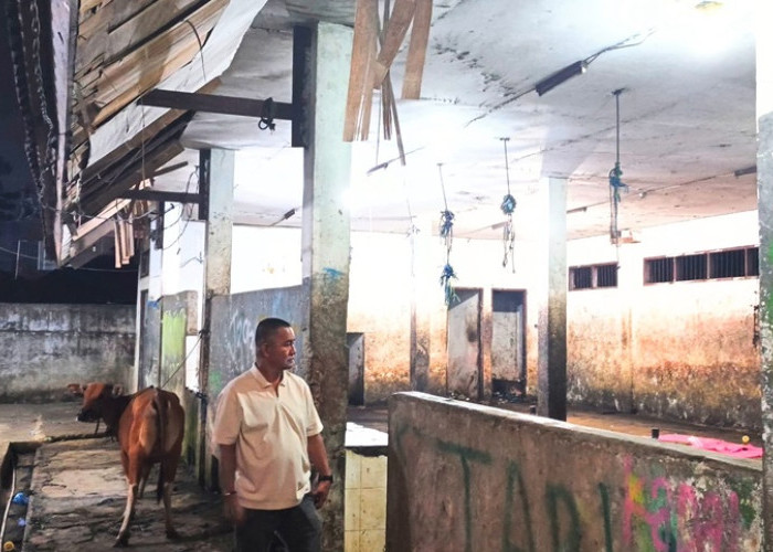 Tinjau Kondisi RPH Mardika, Fraksi PDI Perjuangan Dorong Renovasi RPH di 2027  ‎
