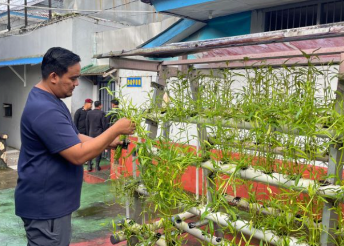 Bukan Sekadar Tahanan: Warga Binaan Rutan Ambon Diajar Hidroponik untuk Bekal Masa Depan