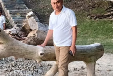 Kaidel Pertanyakan Peran Dinas Pariwisata Aru, Soal Potensi PAD Pada Pantai Taman Kota 