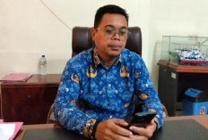 Pekan Depan, Dishub Aru Akan Tata Jalur Angkutan Umum