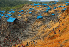 Gubernur Maluku Tancap Gas Tertibkan Tambang Ilegal Gunung Botak