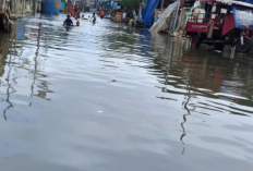 Waspada Banjir Rob di Malteng, SBT, dan Kepulauan Aru Selama Akhir Desember 2025