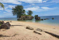 Pemkab Aru Perketat Pengambilan Galian C di Pesisir Dobo