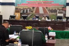 Walkout Saat RDP, DPRD Aru Sesalkan LSM SAPA, Belsigawai: DPRD Tetap Cari Solusi  ‎