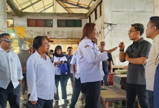 Tinjau Pasar Arumbae, Far Far: Kondisi Jauh dari Harapan