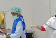 Ekspor Perikanan Olahan Maluku Melonjak 27,21 Persen Sepanjang 2025