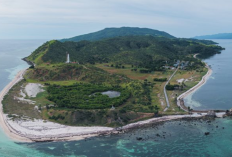 KKP Tetapkan 325 Ribu Hektare Perairan Wetar Barat Jadi Kawasan Konservasi Baru di Maluku