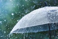 BMKG: Mayoritas Wilayah Indonesia Berpotensi Diguyur Hujan, Warga Diminta Waspada