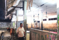 Tinjau Kondisi RPH Mardika, Fraksi PDI Perjuangan Dorong Renovasi RPH di 2027  ‎
