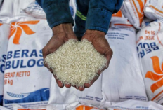 Bulog Salurkan Bantuan Pangan untuk 29.826 KK di Maluku Tengah