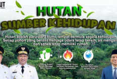 Dishut Maluku Dorong Kearifan Lokal sebagai Pilar Utama Perlindungan Hutan