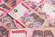 Ini Daftar Upah Minimum di 36 Provinsi, Jakarta Tertinggi, Maluku Rp3,33 Juta