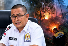 Karhutla Meningkat, Fraksi PDI Perjuangan Ambon Pertanyakan Peran Dinas Kehutanan Provinsi   ‎