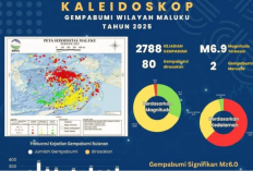 BMKG Catat 2.788 Gempa Guncang Maluku Sepanjang 2025, Dua Di Antaranya Merusak